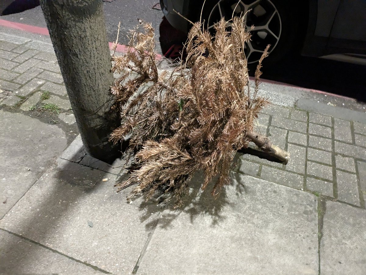 Stuart Gray tweet media