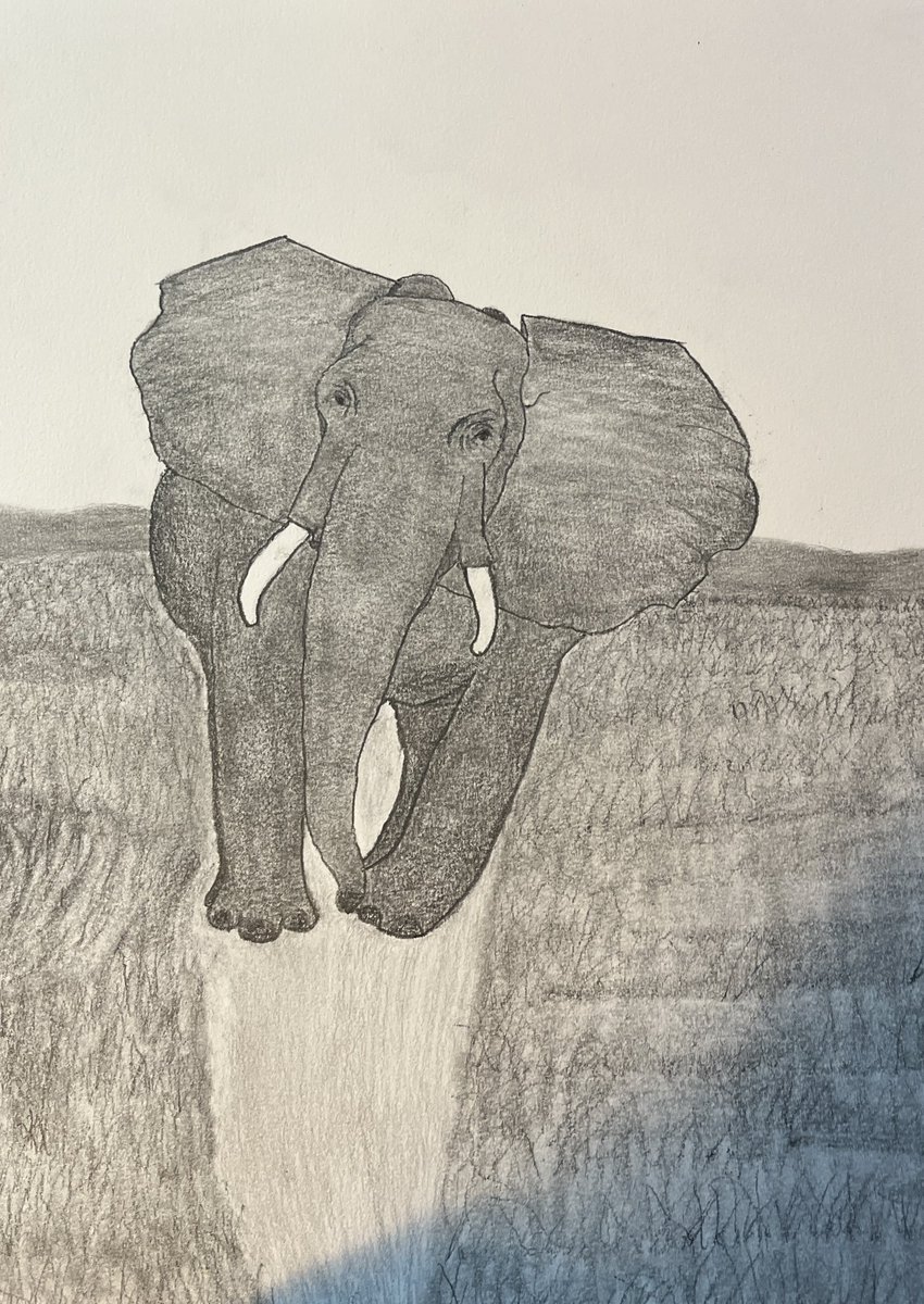 An Elephant drawing I did for an art class that I have been taking. Always learning. #K128i #adaptiveartist #drawing #elephant