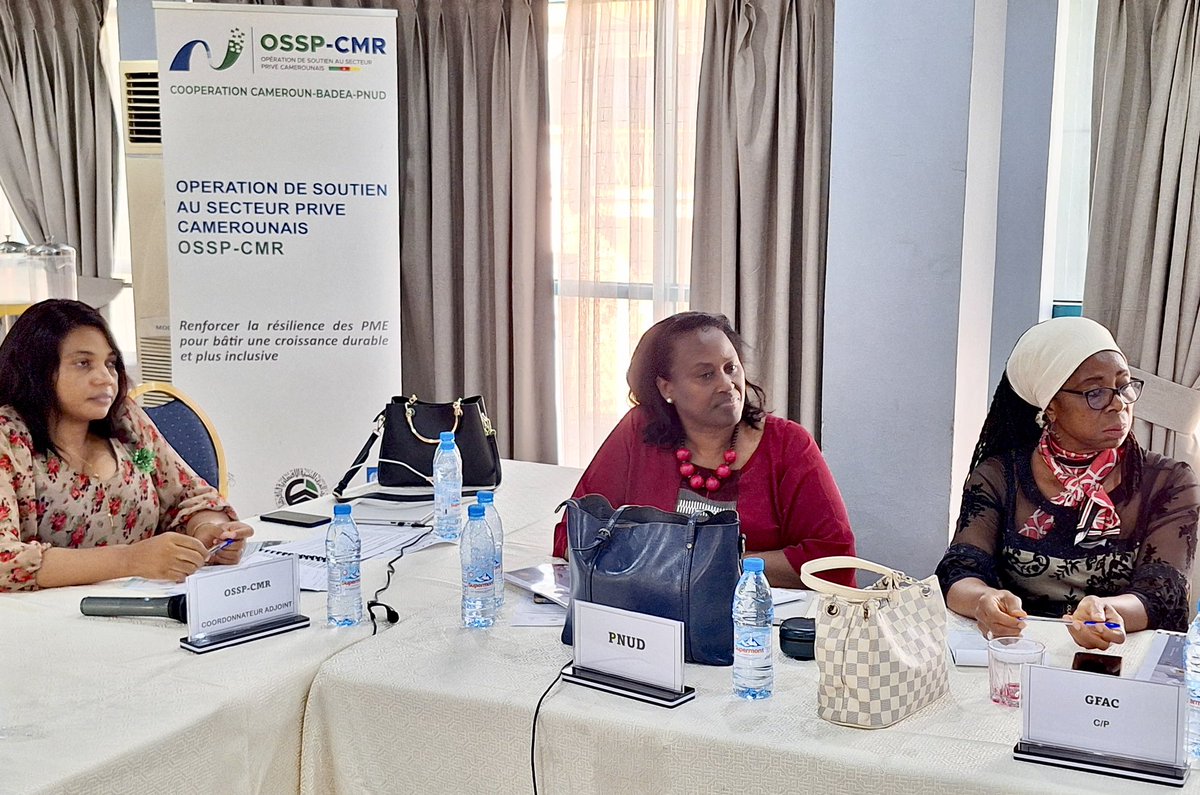 The Private Sector Supp. Operation🇨🇲, #OSSP-CMR, is making strategic progress to ensure quality services 4 #SMEs.

The project just finished the review/validation of the report of a feasibility study on setting up an appropriate financing mechanism 4 targeted financial companies.