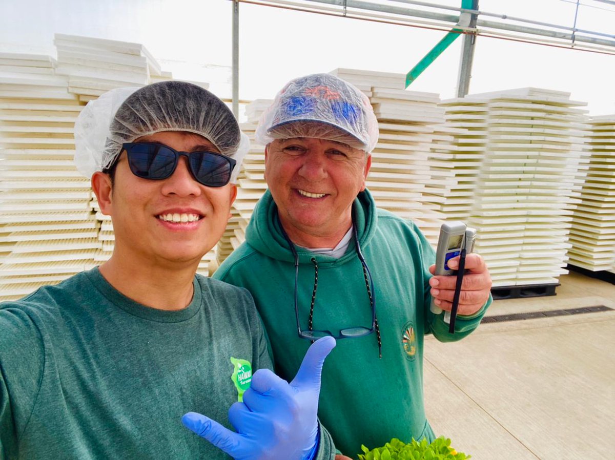 Spudshacks's tweet image. Visit and training their staff in Hawaii farm baby leaf operation.