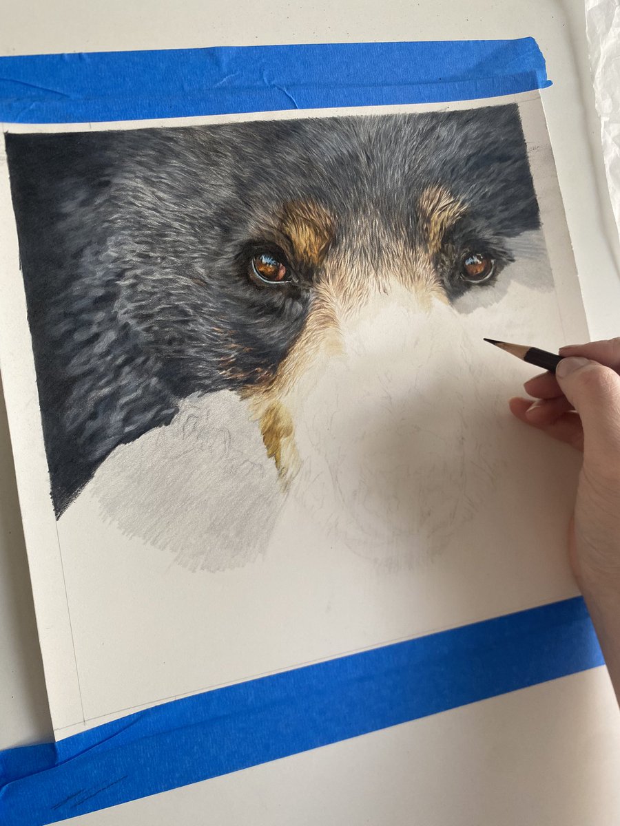 Another good chunk on my Black Bear today, I find this kind of work so therapeutic and methodical. 

I would love to hear what you think so far…