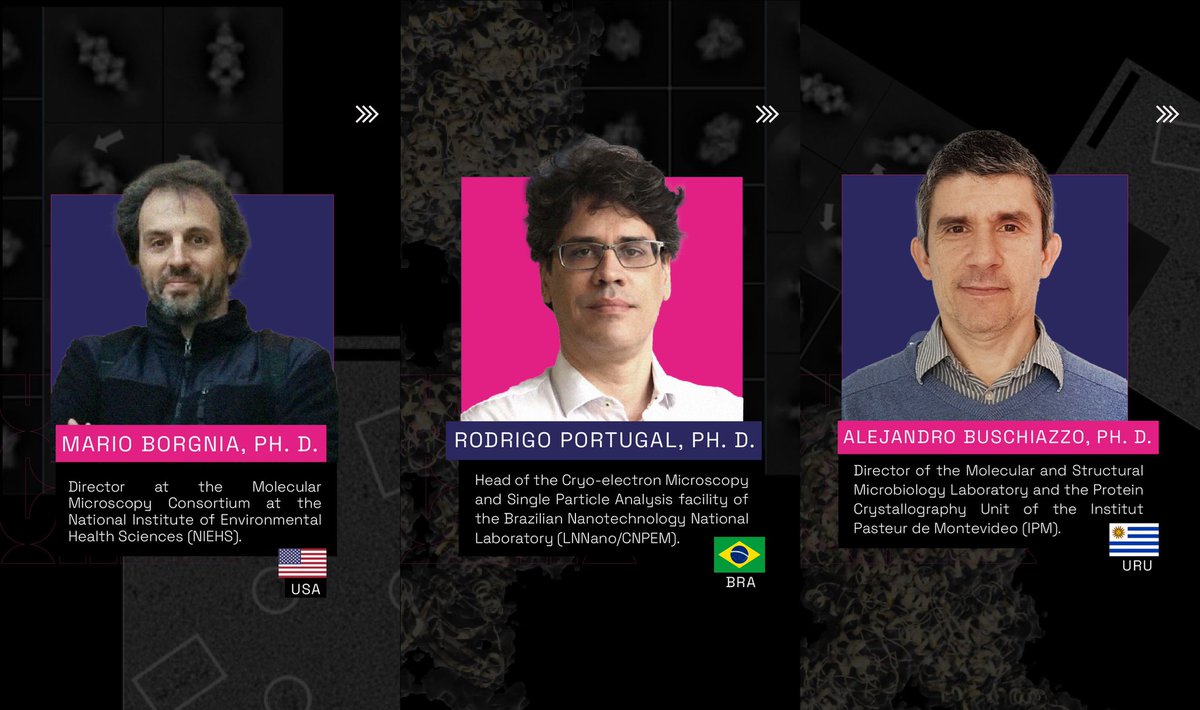 🔬💪  We're excited to present the global experts who will be guiding you through the fundamentals of Cryo-Electron Microscopy at @IBR_CONICET.

Hurry! ⏳ This is the final week to apply: bit.ly/CryoEM-Course.

#ImagingTheFuture