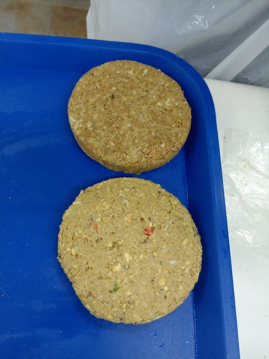 patymarchant's tweet photo. Alumnos de la Especialidad EIA, Liceo Bicentenario Insular de Achao, en proyecto piloto utilizando choritos, elaboró hamburguesas, nuggets, apanados. https://t.co/xFnO52ZFPU