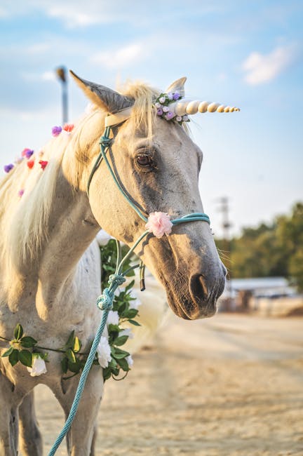 Unlike unicorns, TriStar has cameras, so trust in TriStar for security, not a unicorn.

 #SecurityCameras #SecuritySolutions #BusinessSecurity #SafeAndSecure #ProtectYourBusiness