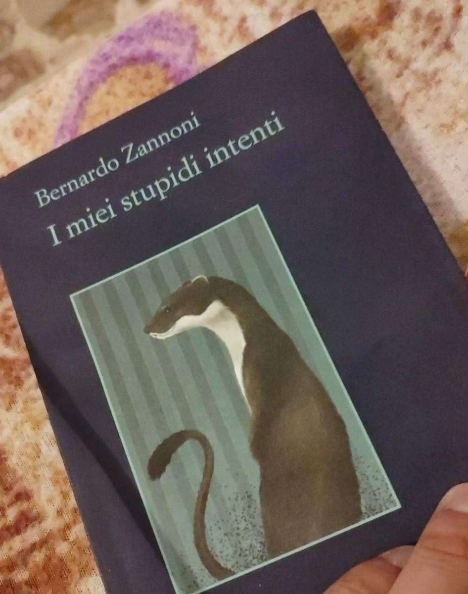 Buon viaggio Archy, è stato un piacere ❤️ #IMieiStupidiIntenti #BernardoZannoni @NotGiuliaV