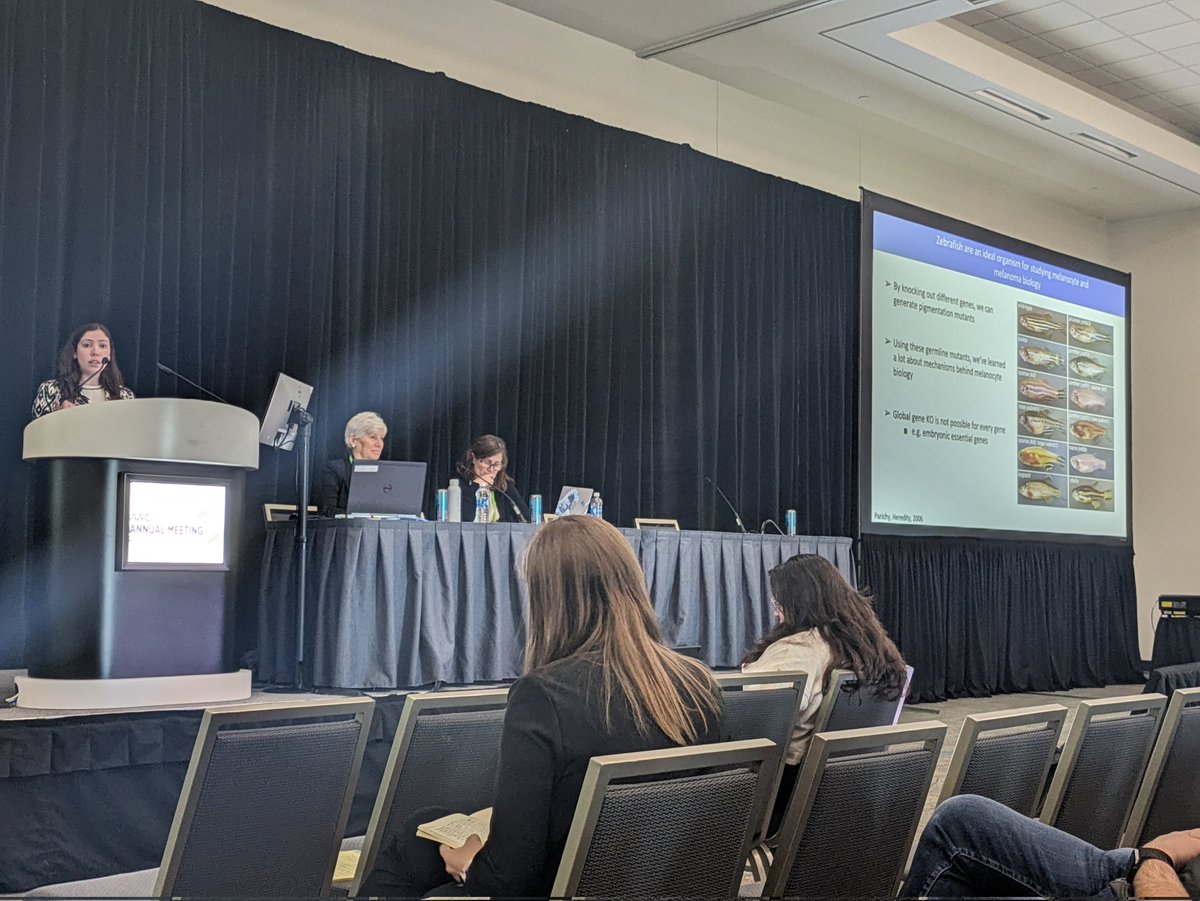 richard white tweet media