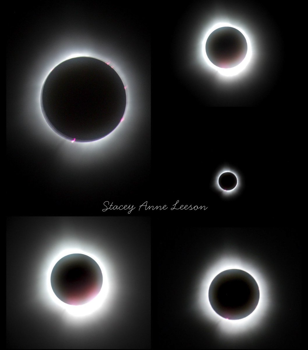 Didn’t get the pictures I’d hoped for, but not even a perfect picture could capture the awe of totality anyway. 💕🌖💕 #ohwx #totality #SolarEclipse2024 #LimaOhio