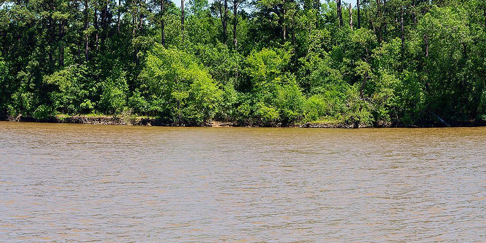 Today's the last day to sign up for our Riparian and Stream Ecosystem Workshop in Orange on the 16th! This is a free event for those interested in land and water stewardship in the Adams Bayou Watershed. To learn more about the workshop and register: bit.ly/3PROvus