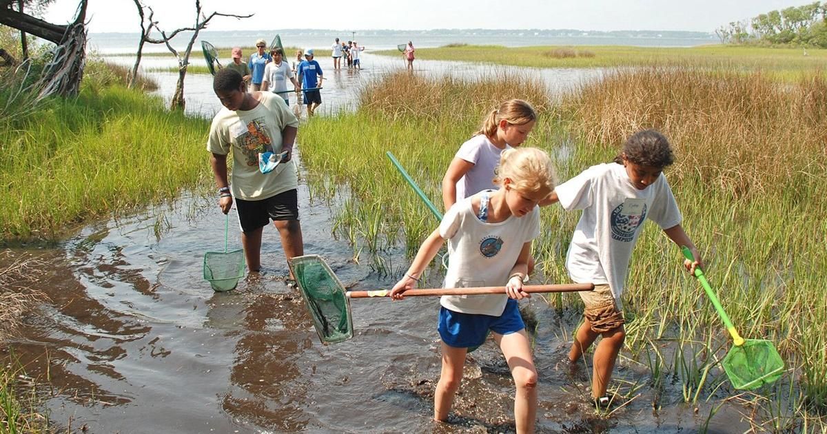 Summer Camp scholarships available at N.C. Aquarium in Pine Knoll Shores buff.ly/3xmtj9h #bwfssep