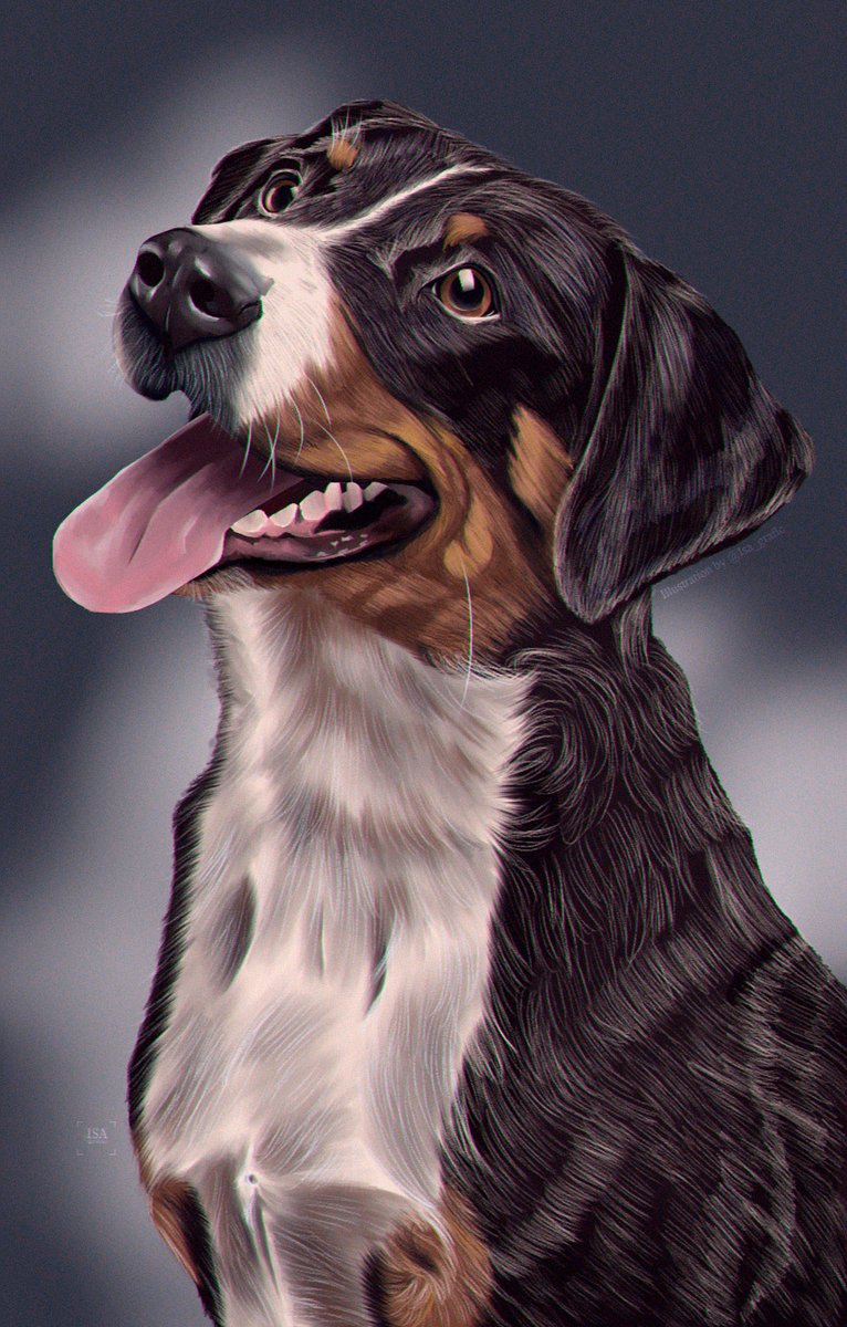 Retrato digital de perrito #painteddog #wilddogs #oilpainting #animallovers #animalartist #realisticpainting #artgallery #artistsoninstagram #dogportraits #perroretrato #opencommissions