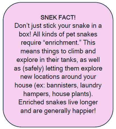 Brandon Crilly (he/him) (@b_crilly) on Twitter photo One more sneak peek for #PocketQuest2024!
A big part of B.O.A. is my genuine love for snakes, so in addition to shouting out <a href="/SnakeAdvocate/">Advocates for Snake Preservation</a>, I included a few "Snek Facts." This is a #TTRPG about snake spies but it can also be educational!
#indiegames One more sneak peek for #PocketQuest2024!
A big part of B.O.A. is my genuine love for snakes, so in addition to shouting out <a href="/SnakeAdvocate/">Advocates for Snake Preservation</a>, I included a few "Snek Facts." This is a #TTRPG about snake spies but it can also be educational!
#indiegames