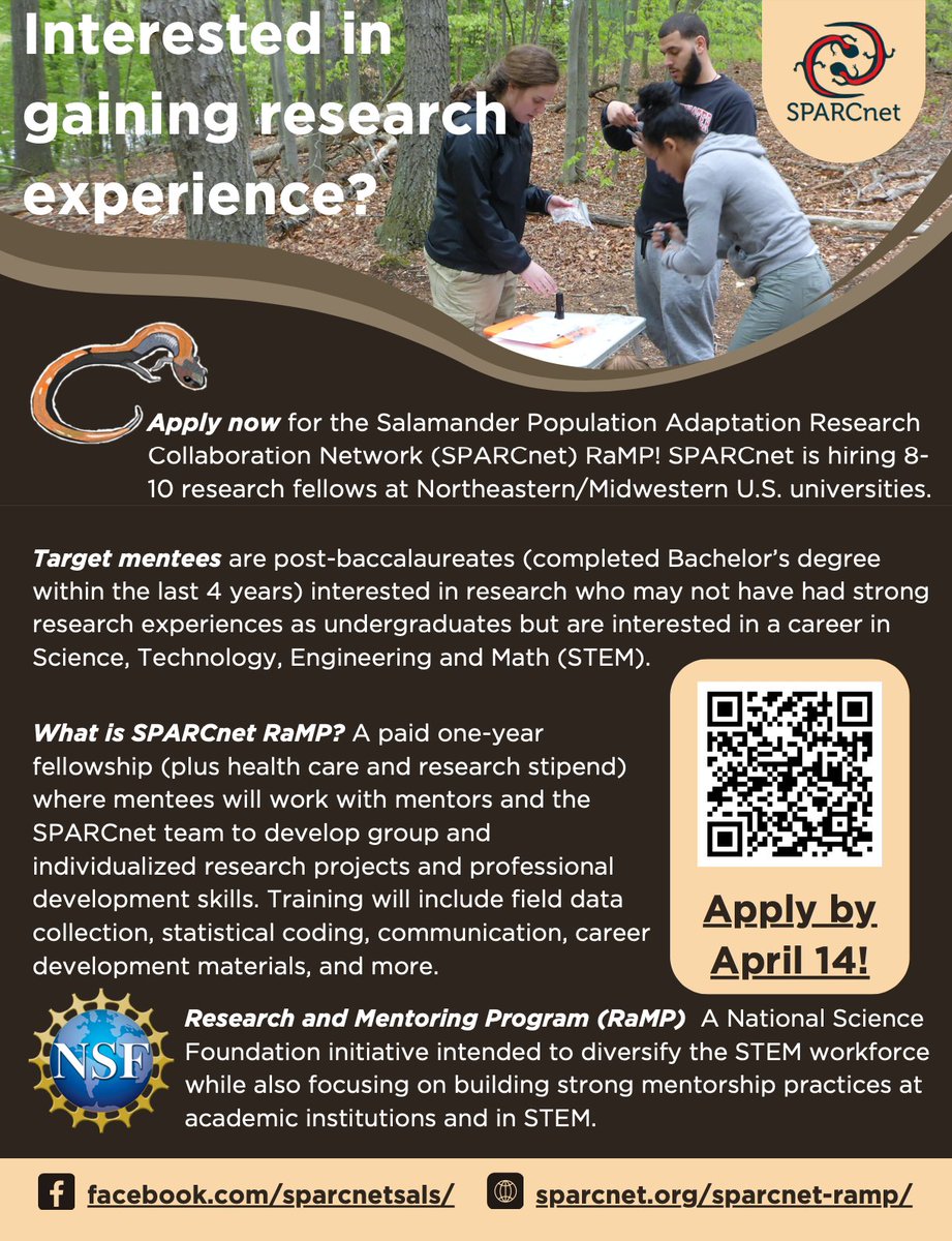 Paid one-year salamander research opportunity!