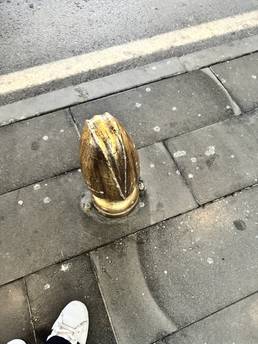 Hiç kimse:
Gaziantepliler:Bulduğumuz her boşluğa fıstık heykeli yapalım sksjsj