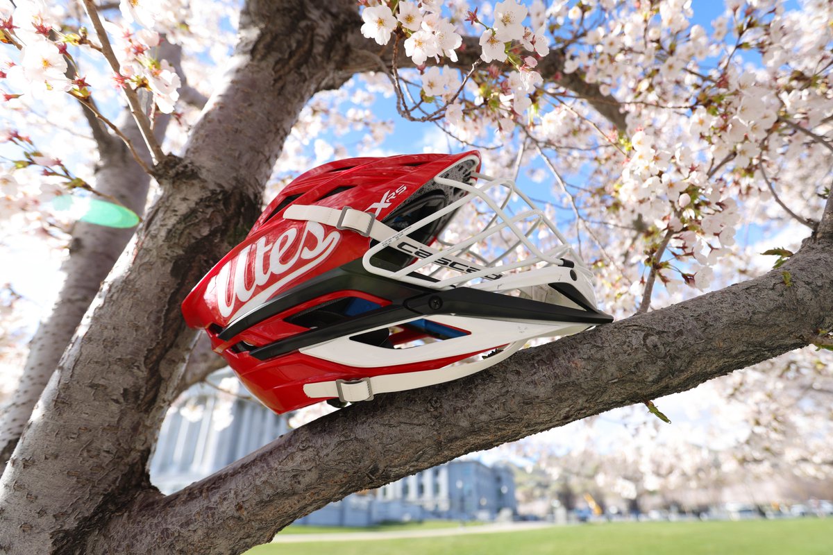 UtahLacrosse tweet picture