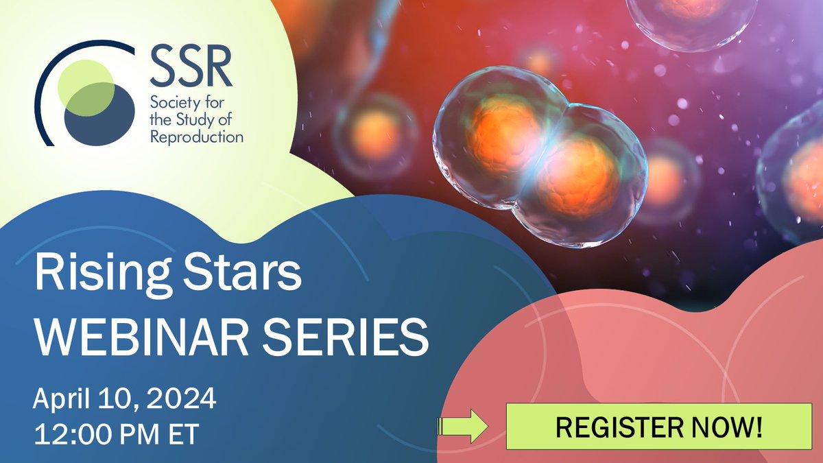 ⏰ Don't miss out - the final Rising Stars #webinar of the year is happening tomorrow, April 10 @ 12pm ET! Register now to hear from speakers Dr. Amanda Patterson and Dr. Xiaoqiu Wang. Find out more + register: brnw.ch/21wIFm2 #ReproductiveResearch #ReproductiveScience