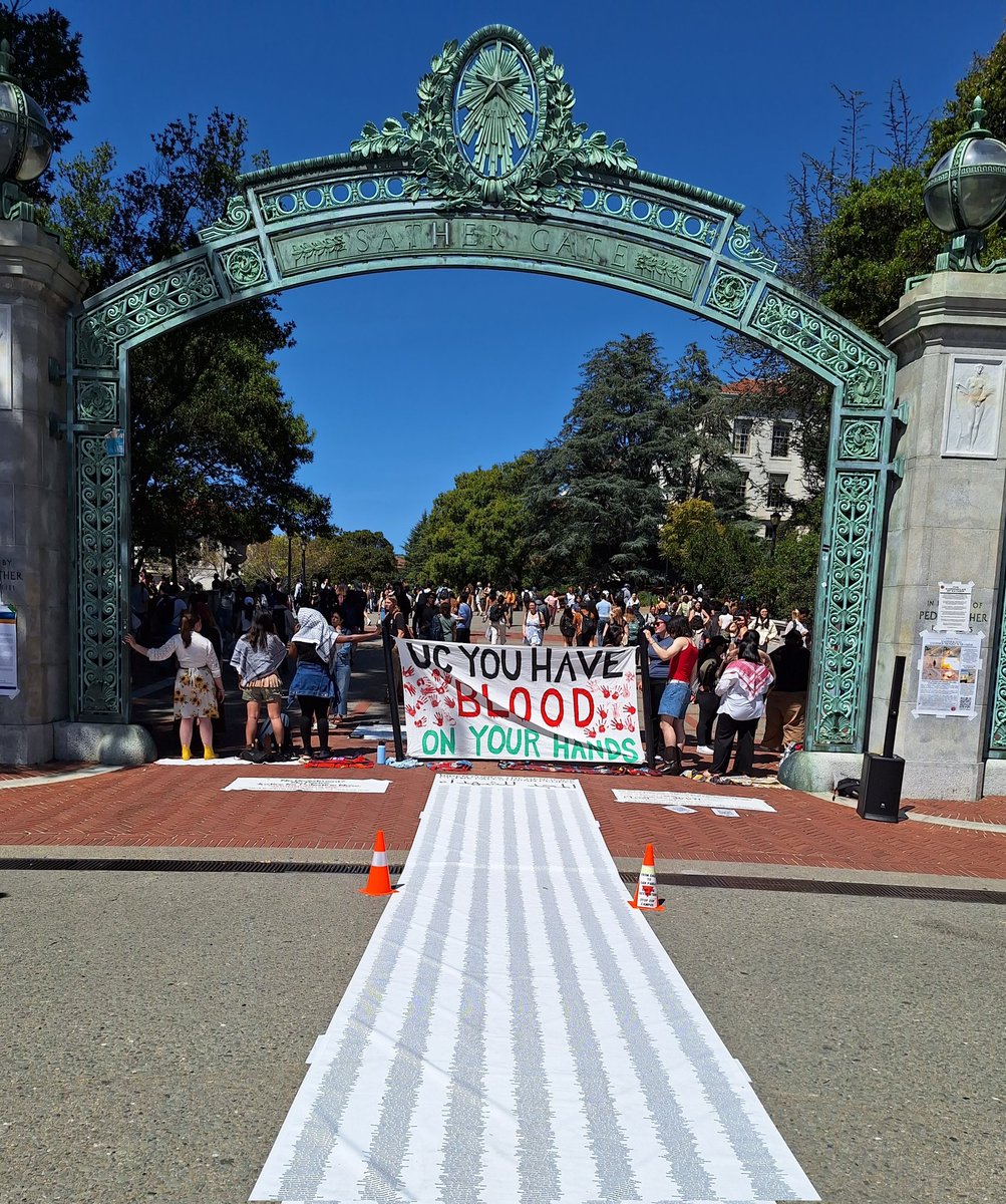 'You have blood on your hands.' UC Berkeley students have been protesting every day for eight weeks against Israel's bombing of Gaza, with the names of hundreds of those killed listed for people passing to see. The university has $2 billion invested in arms suppliers to Israel.