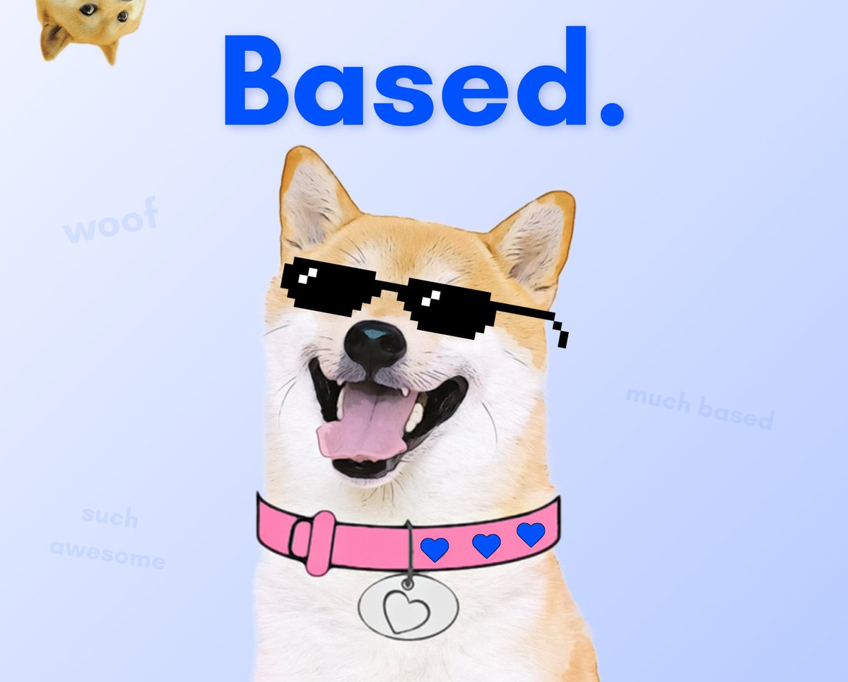 DogeGF tweet media