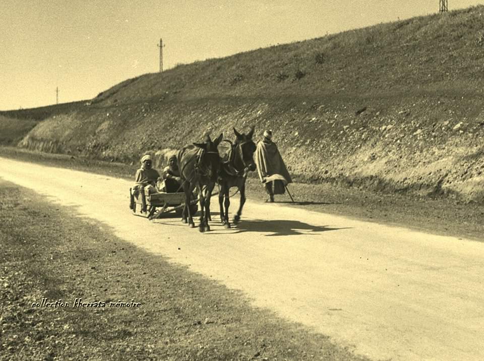 صورة من الماضي.
#سطيف - طريق الماوان سنة 1940 💖