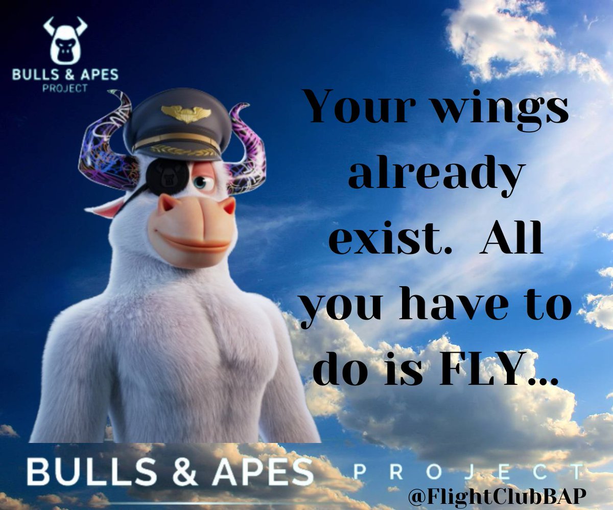Time to fly @BullsApesProj @FlightClubBAP #AToD