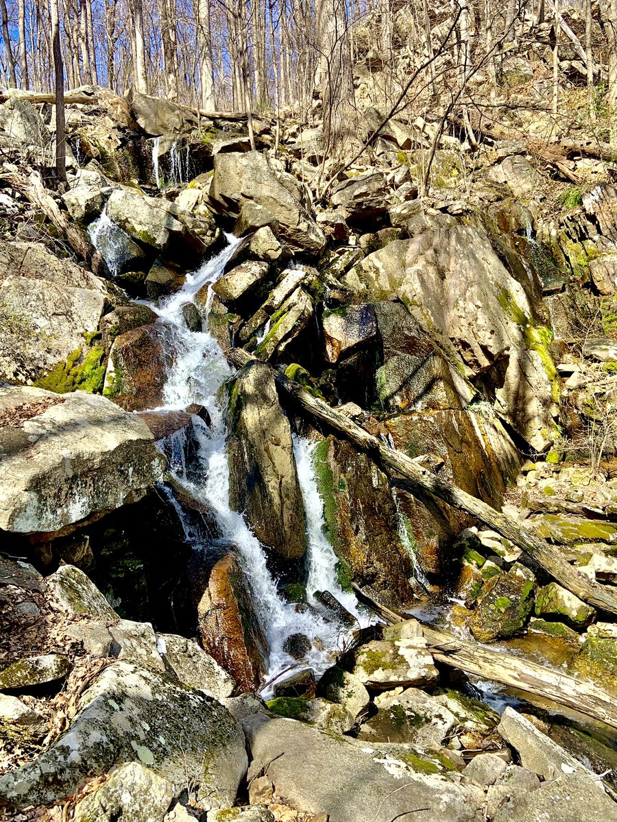 Cascade Brook #creek #waterfall #home #NatureBeauty #NaturePhotography #wild #home