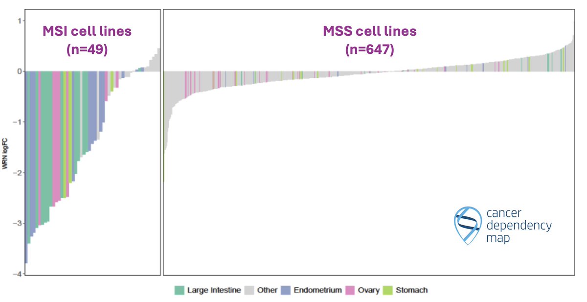 Our work 'Novel WRN Helicase Inhibitors Selectively Target Microsatellite Unstable Cancer Cells' is published today in @CD_AACR (aacrjournals.org/cancerdiscover…). Using genetic tools, in 2019 @DepMapSanger and others reported WRN as a synthetic-lethal target in MSI cell line. 1/5