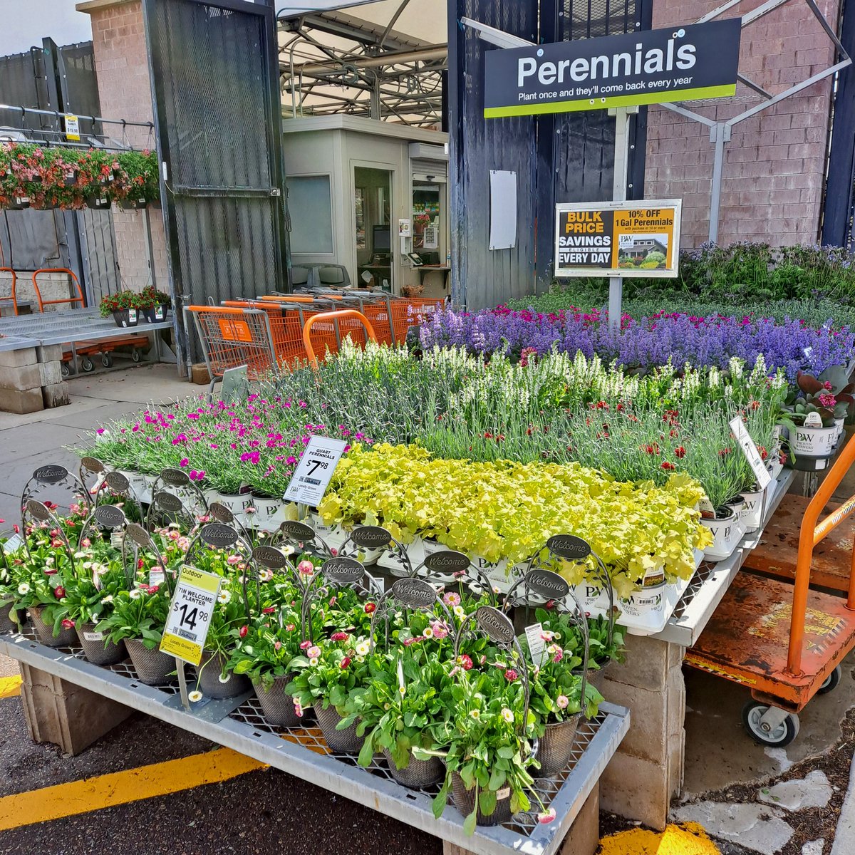 I swear I took these pics in our Garden Center, today! Yay, it's Spring!!! 🌸🌼🌹😎