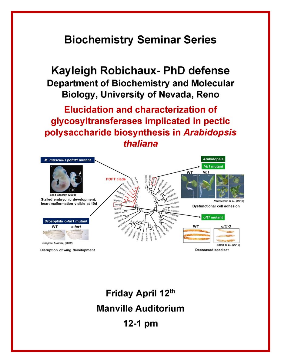 UNR Department of Biochemistry & Molecular Biology tweet media