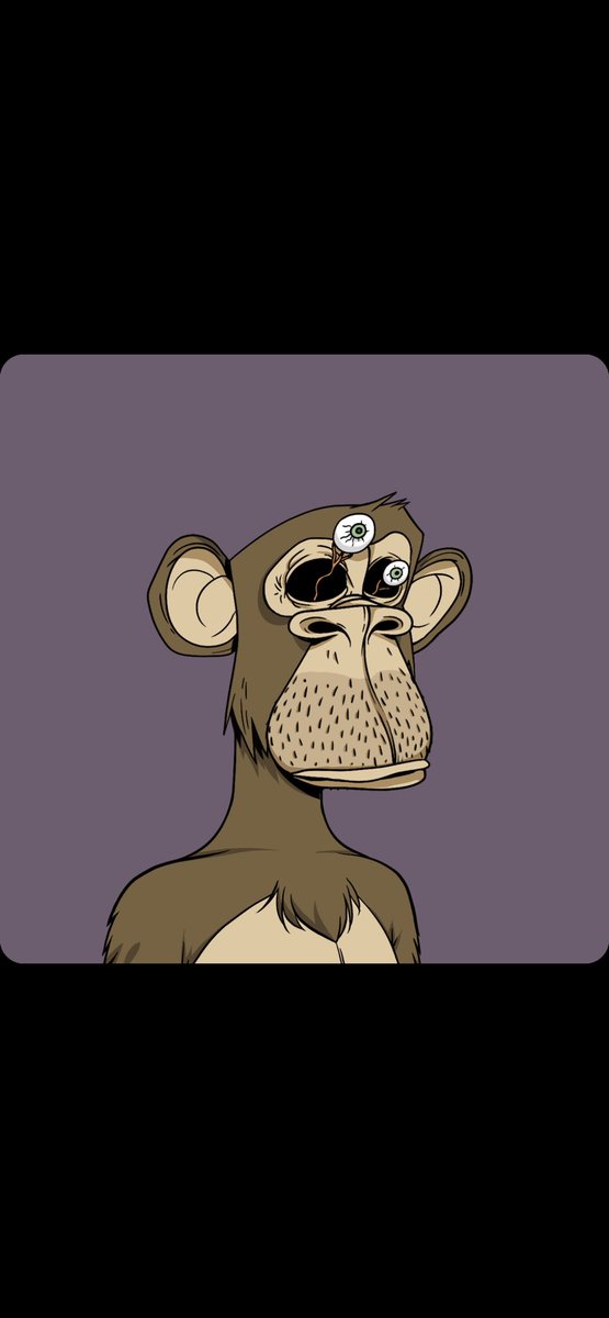 intotherain tweet media