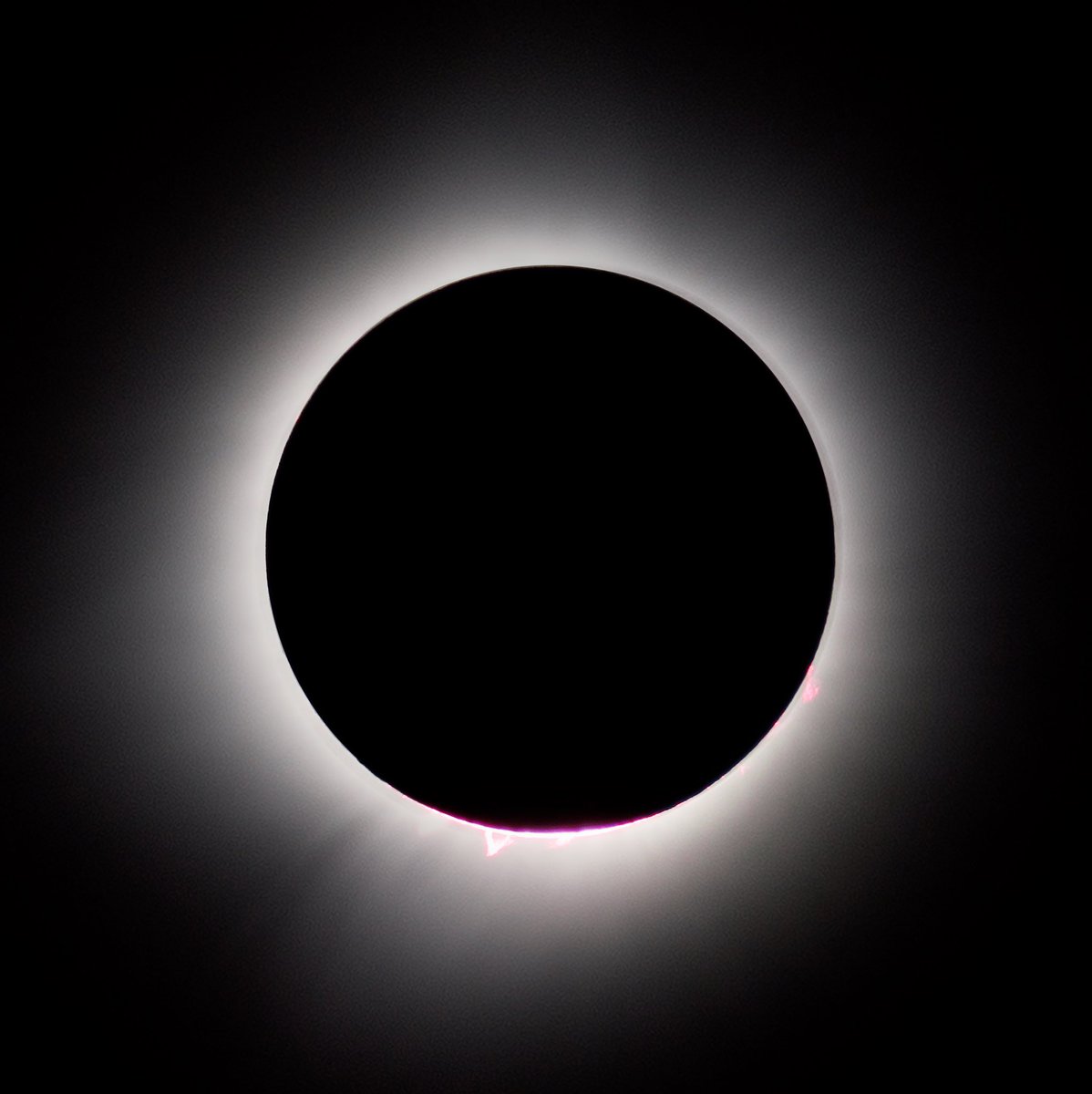 moon reminder tweet media