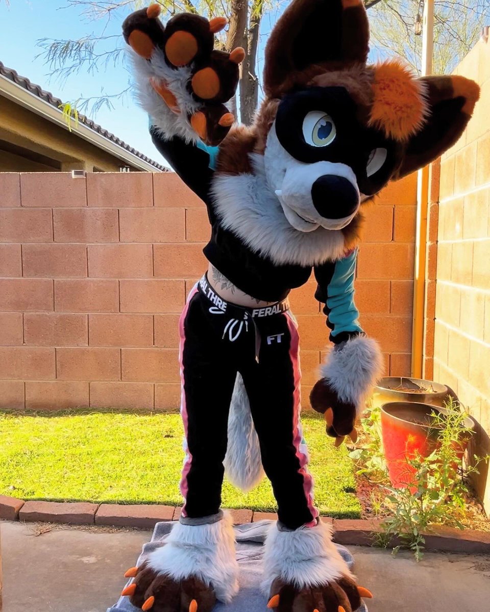 It’s Taeliou the wolf! This client asked if I could make a mask for the suit and so I tried and I love it! Sweatsuit and belt is by @FeralThreadsCo You can join my patreon for free to see projects first! At higher tiers you can see more photos and tutorial videos. Link in bio!