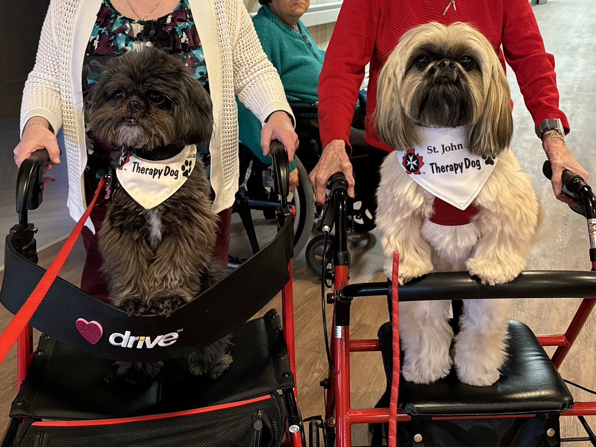 Gorgeous Gladys and Sir Tristan enjoyed their evening at Westbury Estates Seniors Living. @SJA_NL Therapy Dog Program - St. John Ambulance NL Council @SJA_Canada #volunteer  #community #therapydog #caringthroughsharing #spreadingsmiles #PetsAreTherapy🐾❤️