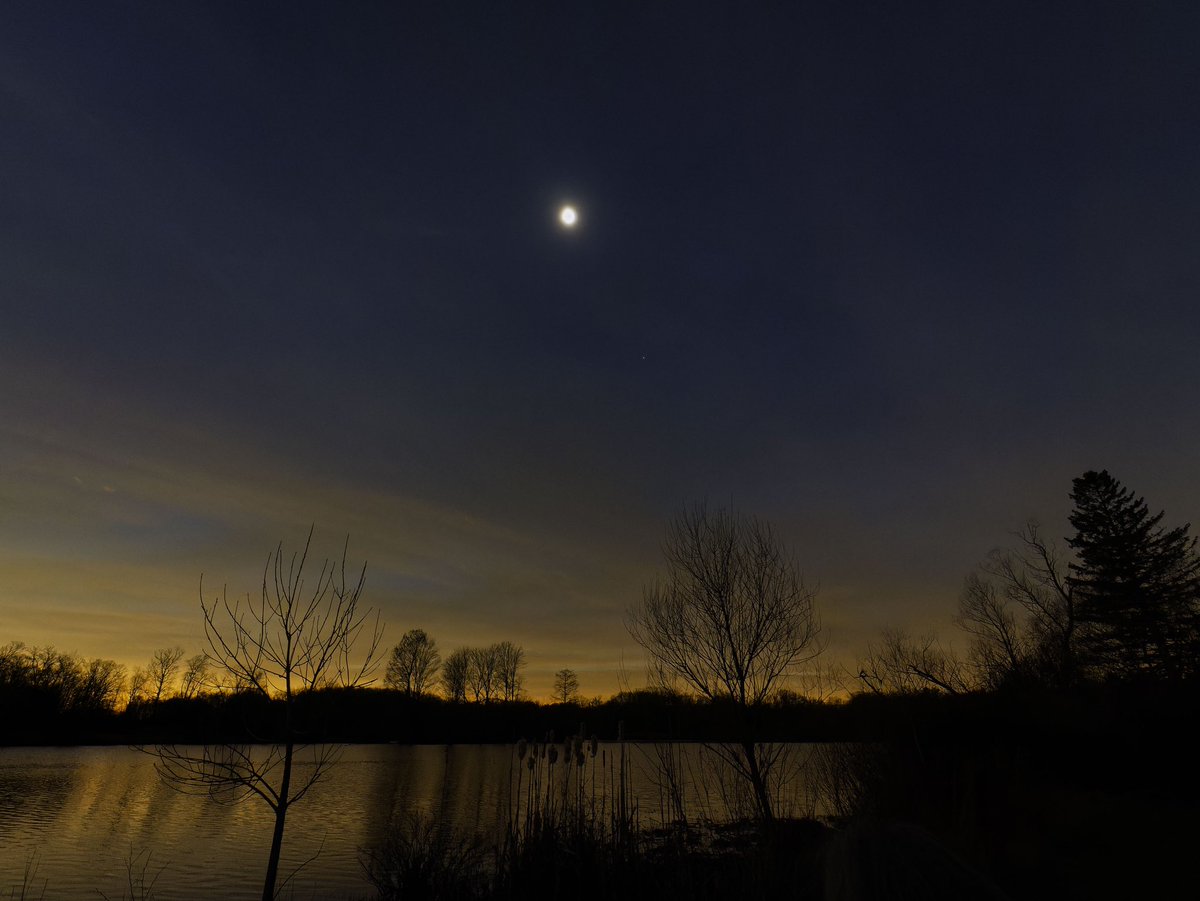 The sky during total eclipse was extraordinary at the Holden Arboretum.  Here you can see Venus below and to the right of the eclipse.  #Eclipse2024 #holdenarboretum