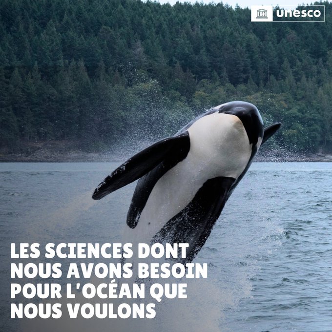 La Conférence de la Décennie des océans 2024 se tiendra cette semaine à Barcelone.

La communauté océanique mondiale s'y retrouvera pour explorer comment la science peut contribuer à #SauverNosOcéans & notre avenir. oceandecade.org/fr/news/2024-o…