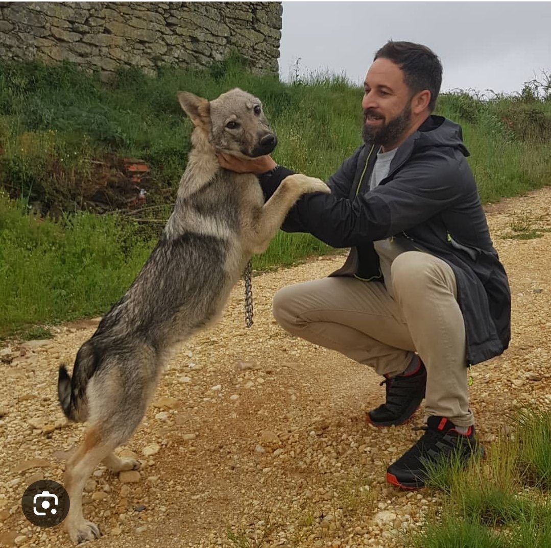 ElHespanolazo's tweet image. Por tu vien recuerda este consejo.
Después de tocar un animal sucio sienpre lábate las manos.