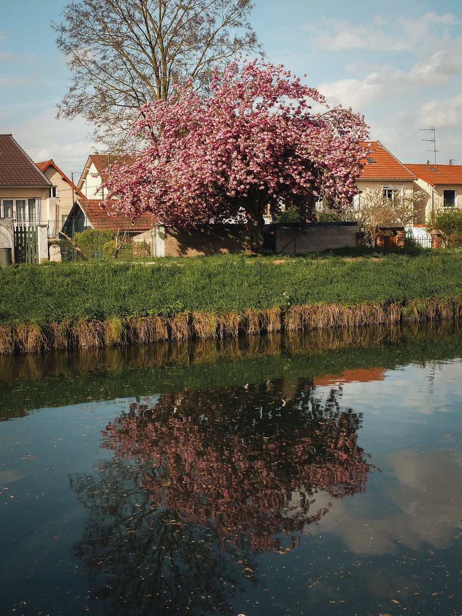 First day with the Fuji X20 ✴️