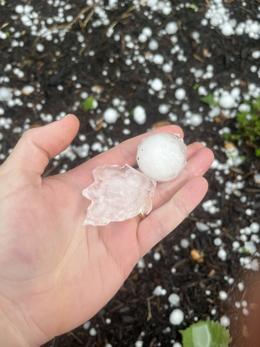 Wow. Golfball size hail near MoPac and 2222 in North-Central Austin as sent by my neighbor.