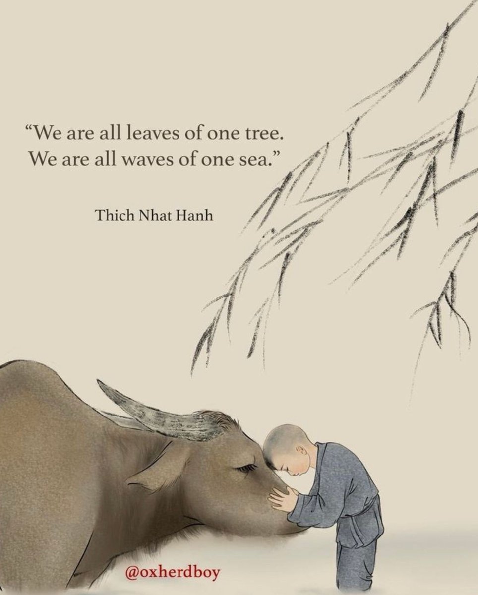 We are all leaves of one tree. We are all waves of one sea. Thich Nhat Hanh