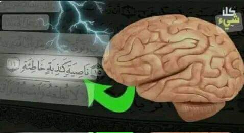 Greatiist0ffice's tweet image. أول مرة في حياتي أسمع هذه المعلومة  🌹  
اكثر السجود لتغذية الناصية.
ما الناصية ولم هي كاذبة؟ 
المعلومة رائعة سبحان الله العظيم !! 
للشيخ/عبدالمجيد الزنداني
في كتابه (وغداً عصر الإيمان) 
 يقول :
كنت أقرأ دائما قول الله تعالى (كلا لئن لم ينته لنسفعاً بالناصية ناصية كاذبة خاطئة)…