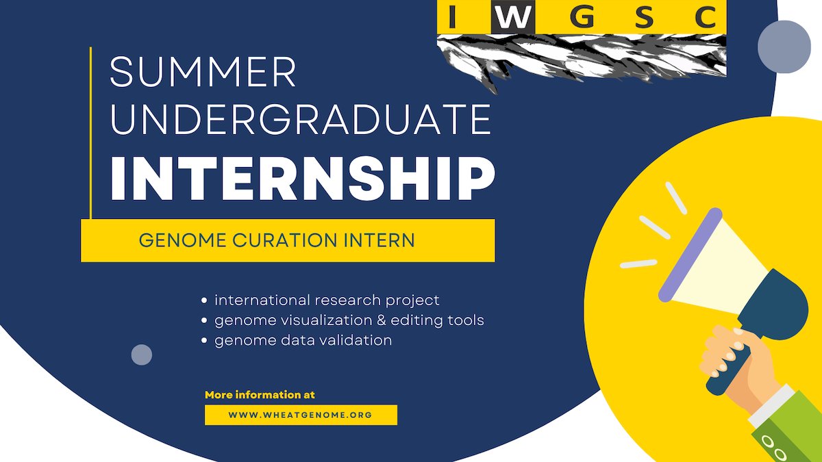 Summer Internship Opportunity! The IWGSC is looking for an undergraduate student interested in gaining experience in genome curation. Deadline for application is 26 April 2024 More information at wheatgenome.org/news/genome-cu…