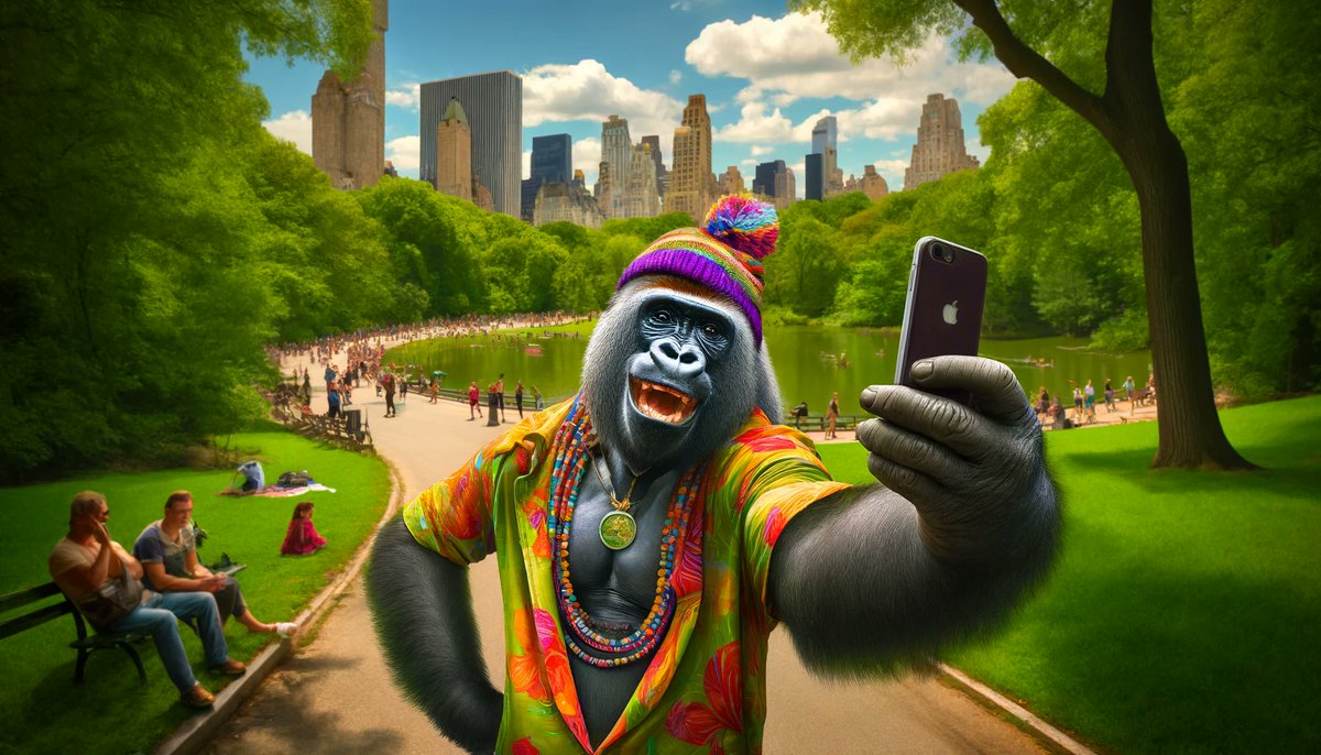 Silverbacks (@silverbackscash) on Twitter photo 