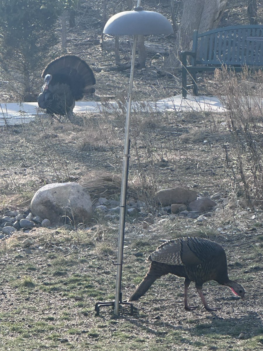 Spring in Minnesota is hilarious…a walk in the park is like going to a bar…