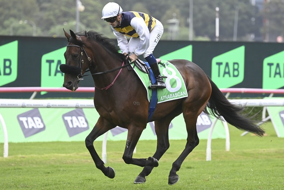 “He’s going to be fit, his Tancred run was terrific and I’m hoping he can lift that little bit.” Tyler Schiller chases more Group 1 glory at Randwick on Saturday and hopes Athabascan can snare the $2m Schweppes Sydney Cup. 📸 @Bradley_Photos READ: tinyurl.com/2rbdnyph