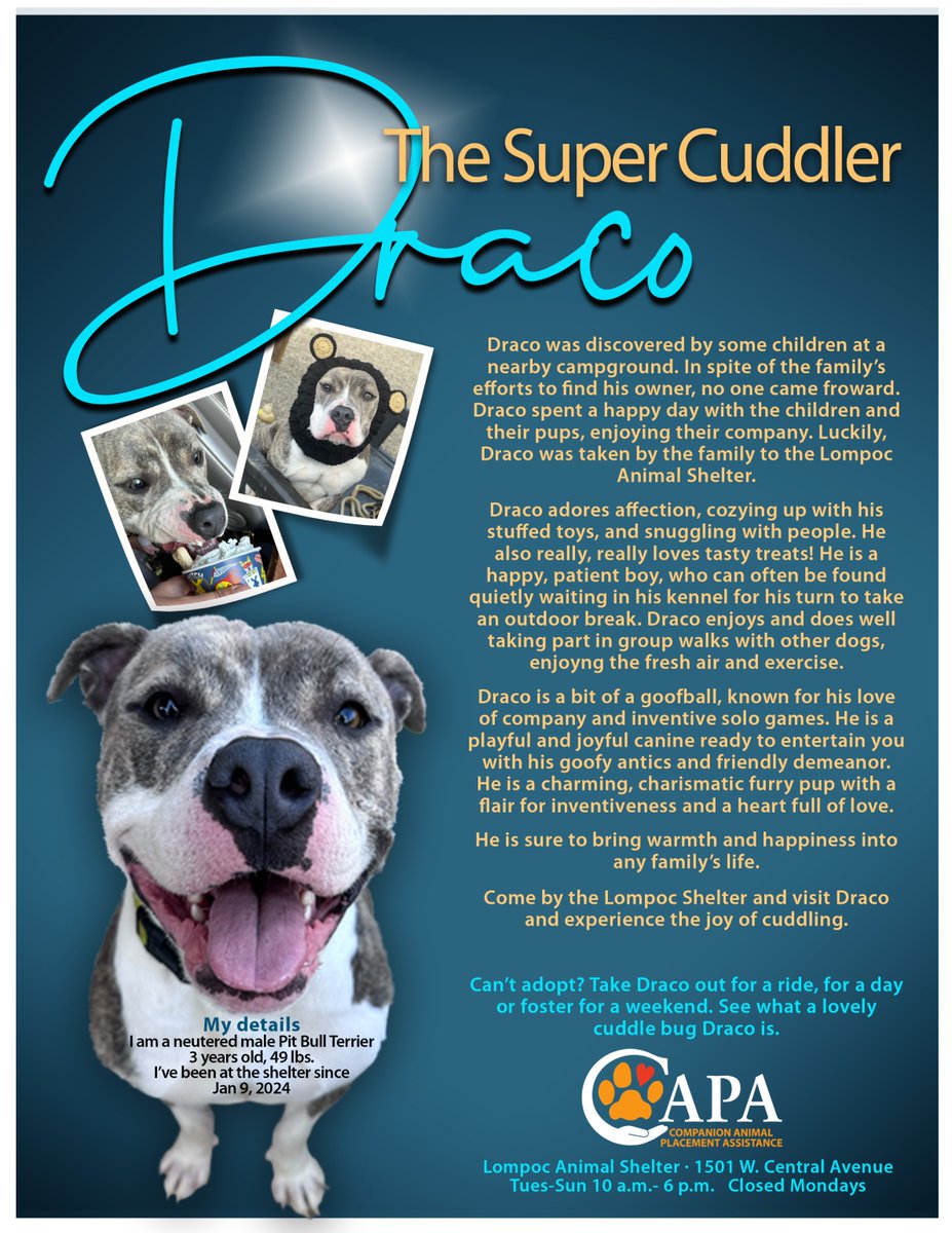 SBC Animal Services tweet media