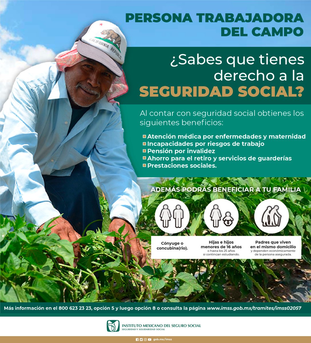 Persona trabajadora del campo🚜, ¡tú tienes derecho a la seguridad social!

Solicita a tu patrón la incorporación al #IMSS