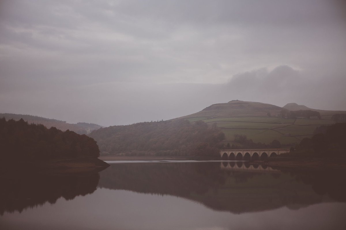 Lost in the serene beauty of the English countryside 🌳🌿 Capturing the essence of nature through stunning landscape photography 

Which is your favorite?

#EnglishCountryside #NaturePhotography #ScenicViews