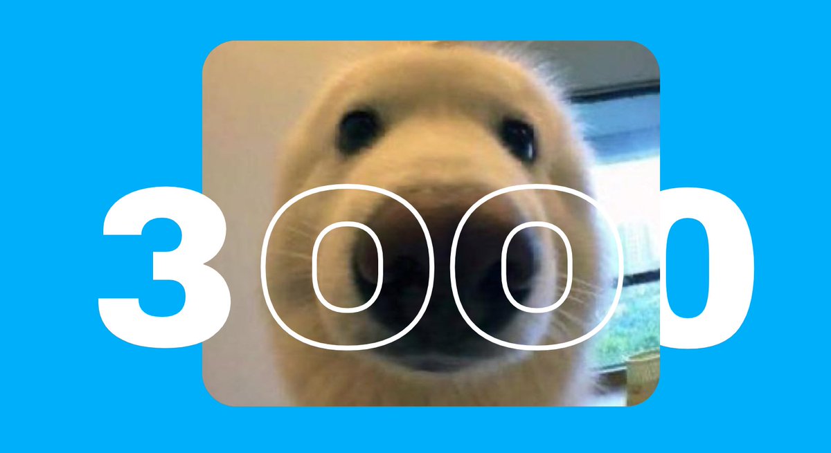 boopthecoin's tweet photo. boop is growing ❤️ 3000+ boopers/holders https://t.co/GlMvQ171Yz