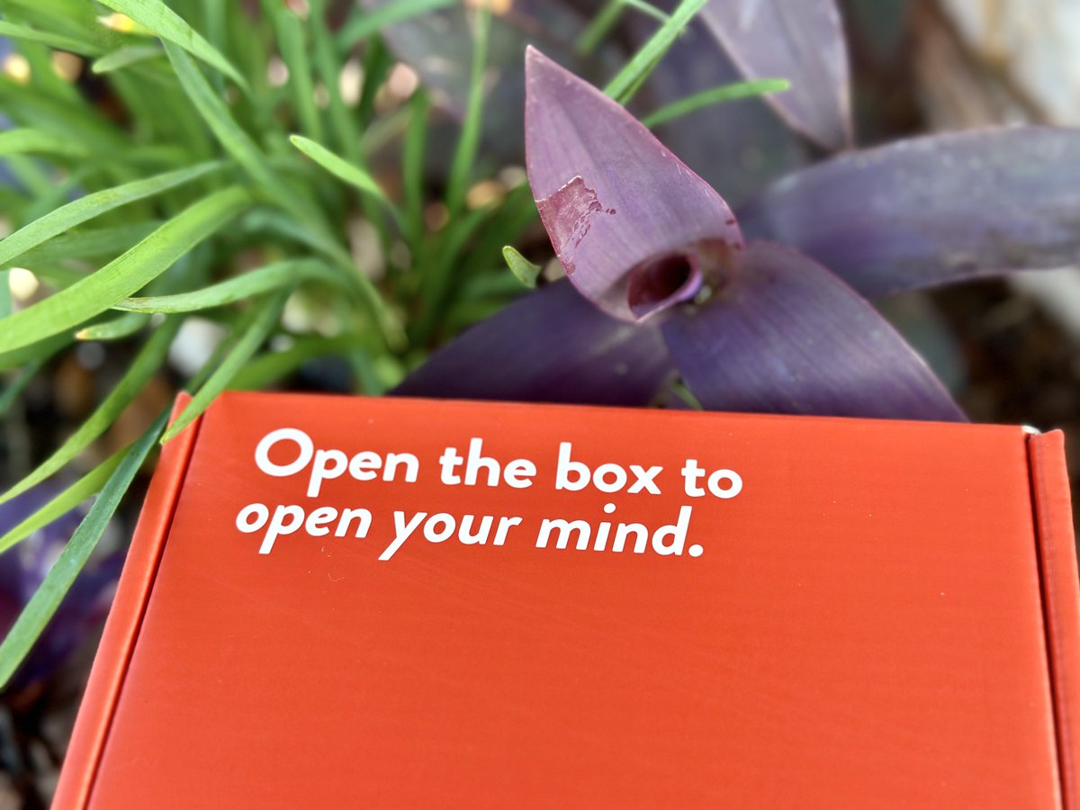 prdz3's tweet image. #openbox #colors #A2 #mind #brian #neurons #nature  #rgv #riograndevalley #southtexas #956 #beautiful #keepsmiling