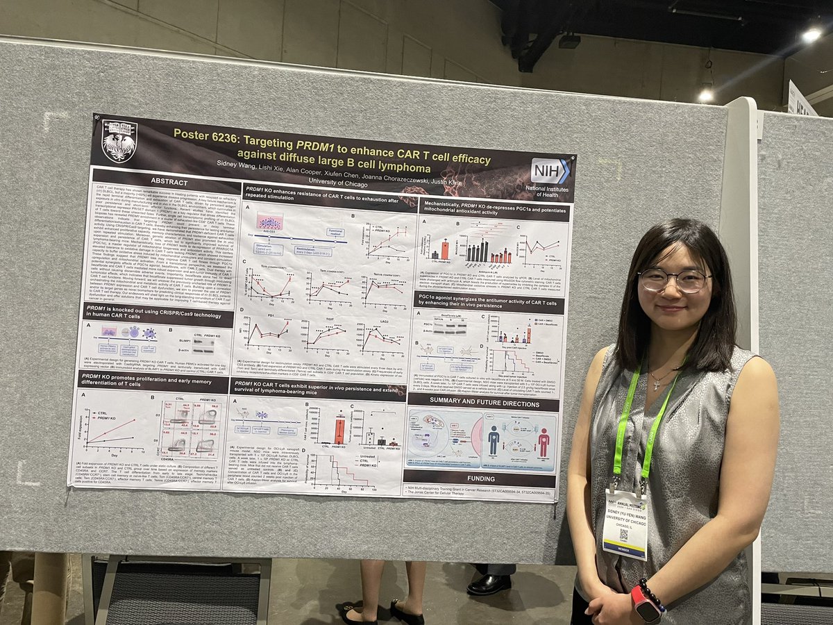 Sidney Wang, grad student in Kline’s lab presents excellent poster at #AACR24 showing PRDM1 as a potential therapeutic target to enhance CAR-T therapy efficiency in large B-cell lymphoma. #NationalCancerPlan #Every1HasARole @UCCancerCenter @UChicagoHemOnc @theNCI @KlineLabUChi