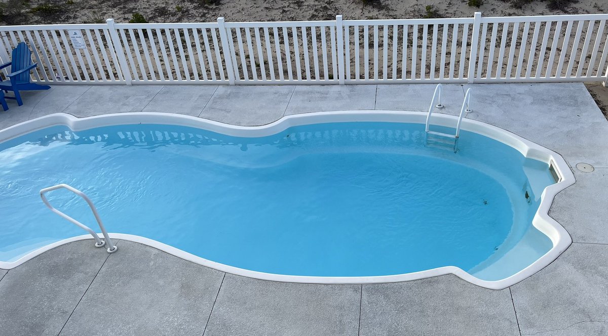 Rent a house with a fenced area for Walter they said, he’ll love to run free they said……except I could squeeze my way through those fence slats, and I snuck out.