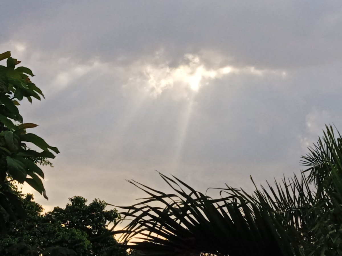 Es la tarde que se va Dice adiós da un fuerte abrazo Y nos desata su lazo Pues mañana volverá. Vendrá si bella en verdad Pero de distinto modo Para juntar codo a codo Otro día que se va Y nos llenará de Paz De amor, de música y todo #Cuba 🙋❤️🇨🇺